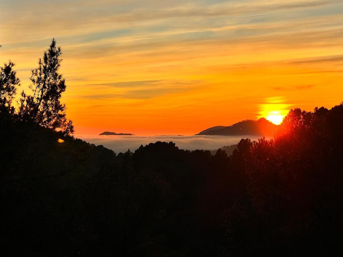 Royal Hideaway & Retreat Son Font Calvia (Mallorca)