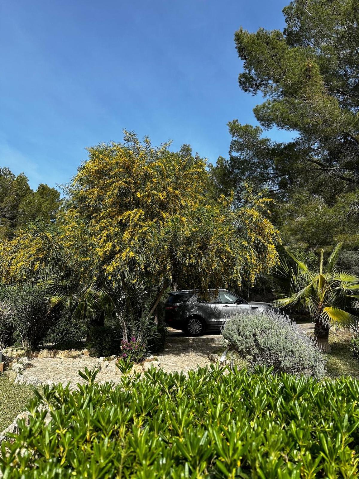 Royal Hideaway & Retreat Son Font Calvia (Mallorca)